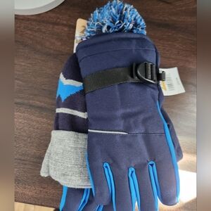 Blue and Gray Winter Gloves